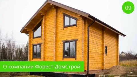 Компания форест