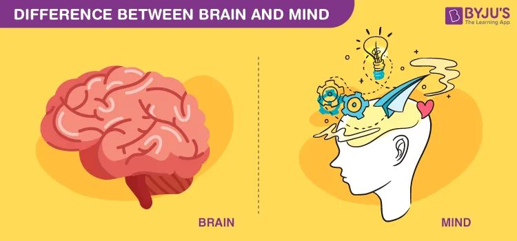 Brain sound. Мозг психология. Мозг против компьютера. Мозг в голове. Разум vs мозг..