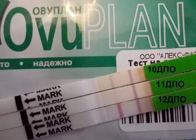 Тест на овуляцию форум отзывы. Тест на овуляцию OVUPLAN, тест-полоски. Тест на овуляцию 9дц тесты овуплан. Тест на овуляцию OVUPLAN. Положительный тест на овуляцию овуплан.