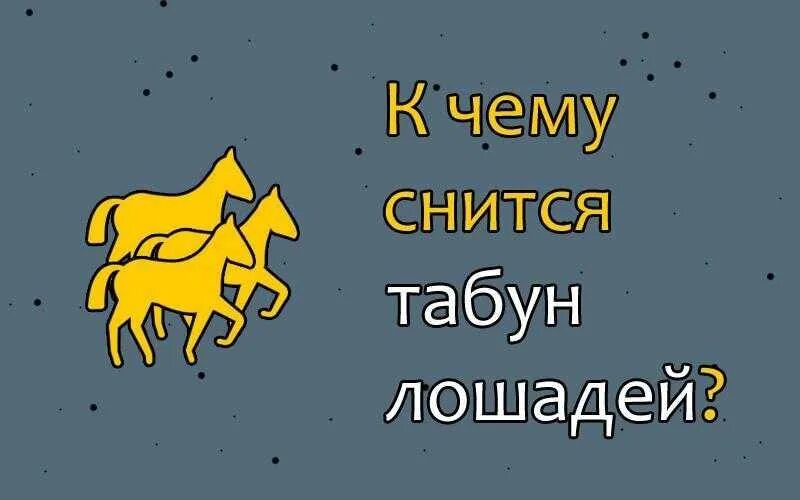 Толкование снов к чему снятся лошади. К чему снится табун. К чему снится лошадь. Приснилось стадо лошадей. Соник чему снятся лошади.