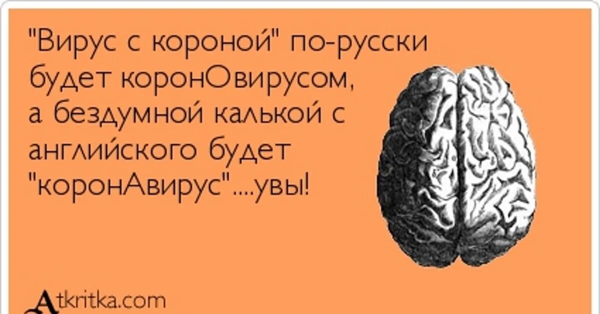 Анекдот про мозг. Цитаты про мозги смешные. Прикольные фразы про мозги. Смешные высказывания про мозг. Статус про мозги.