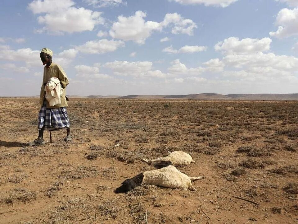 Период засухи. Сахель, Северная Африка голод. Пустыня Сахель.