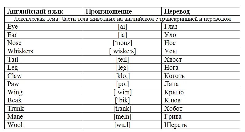 Части тела животных на английском языке с переводом. Части тела животных на английском языке 5 класс с переводом. Части тела на англ с транскрипцией. Животные на английском с транскрипцией и переводом. Английские части тела 3 класс с переводом