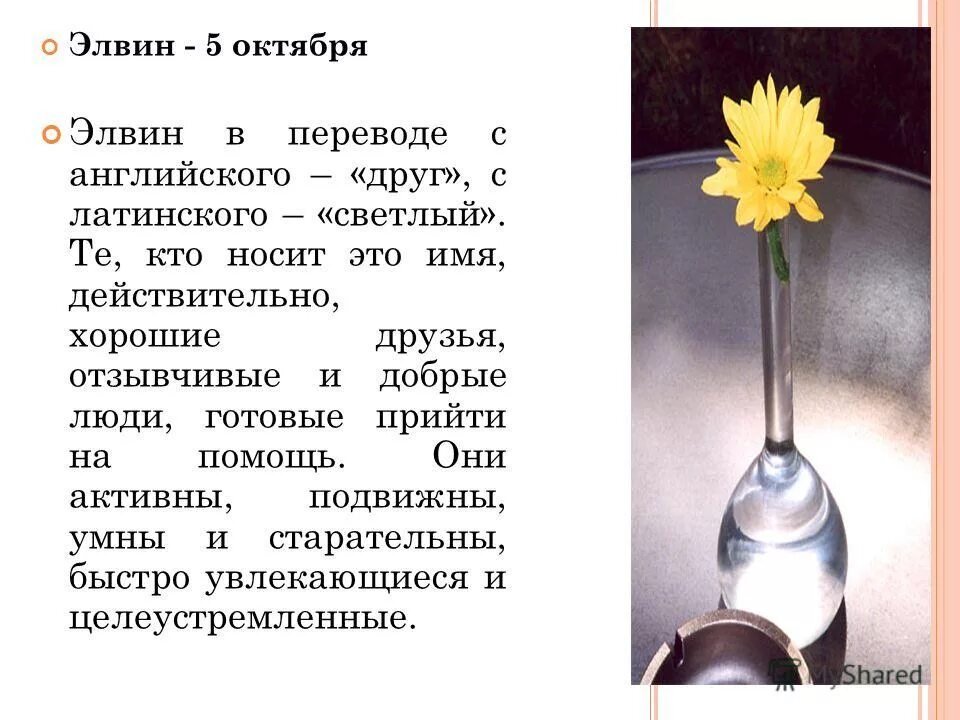 элвин имя. эльвира надпись. эльвина имя. эльвин имя. что означает имя эльвина для девочки.