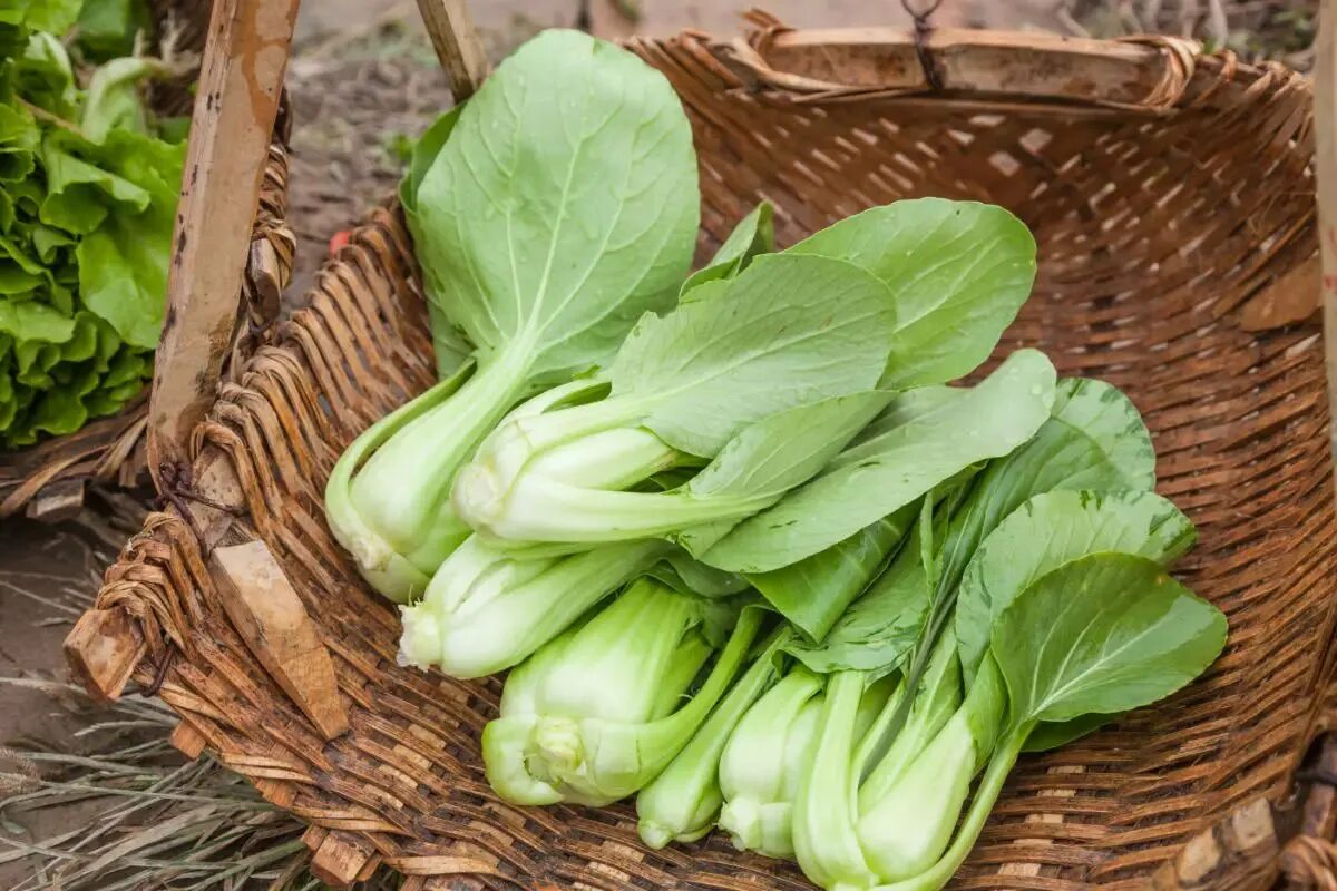 Pin on side dish
