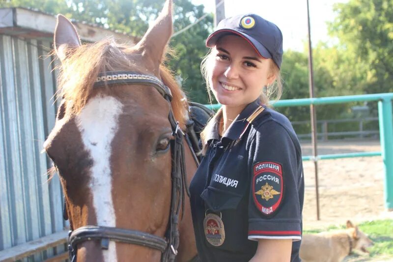 Bethlehem’s police horses to get new home - Tuesday's Horse