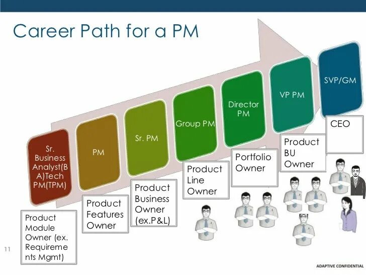 Career Path. Карьера в it. Менеджер проекта. Project Manager career Path.