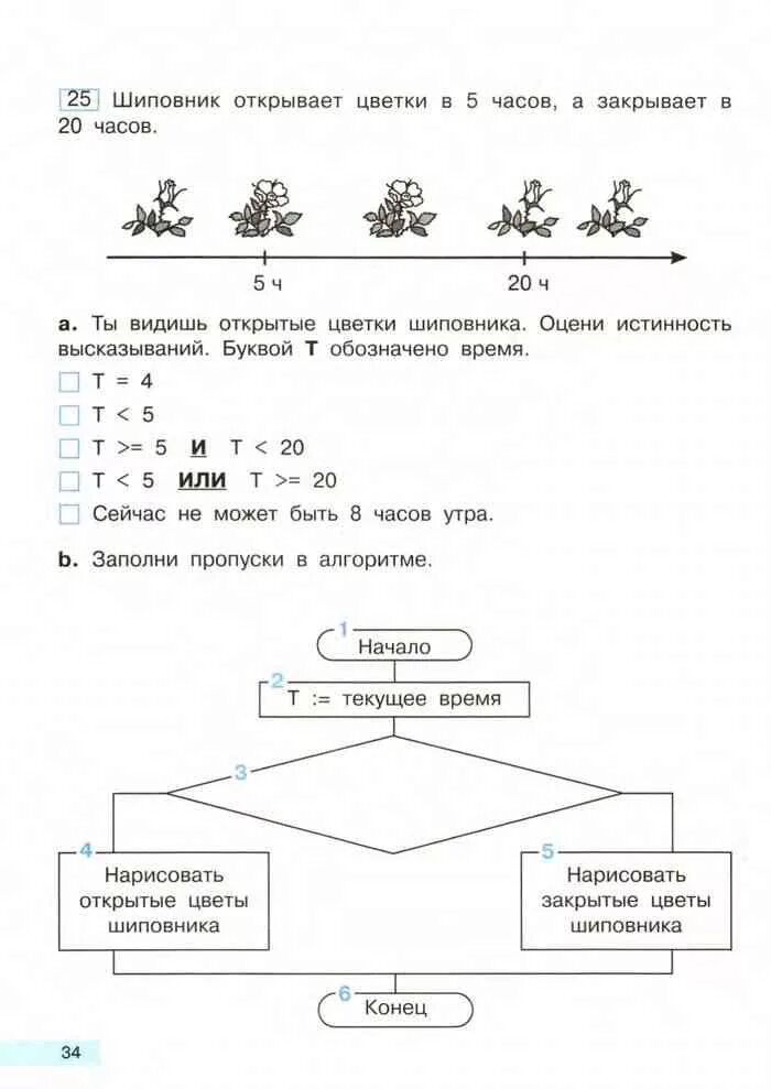 Информатика 3 класс учебник 2. Информатика 3 класс клумба-часы. клумба часы по информатике 3 класс. задание по информатике с цветочными часами. шиповник открывает цветки в 5 часов а закрывает в 20 часов информатика.
