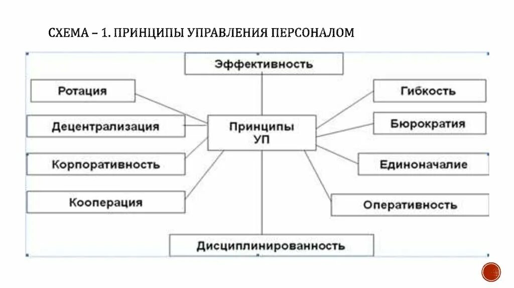 Базовые принципы управления персоналом. Технологии управления персоналом схема. Понятие принципов управления персоналом. Принципы управления персоналом схема. Основные методы управления организацией