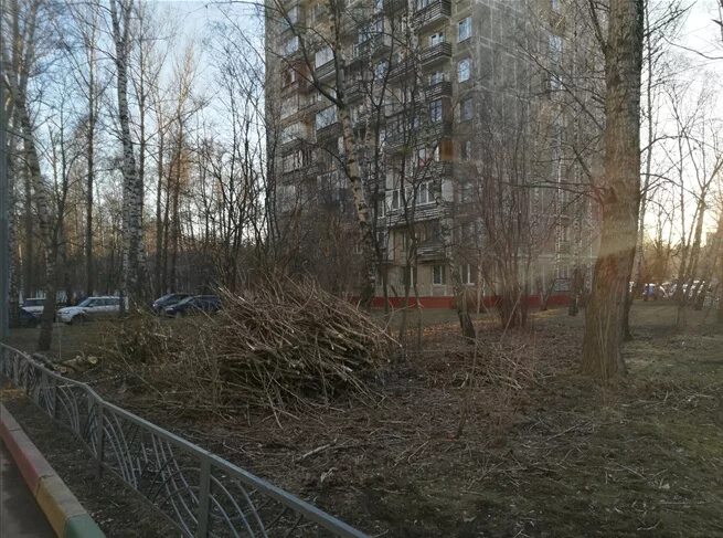 Зеленый проспект д 66 к 2. Жилищник перово. Грина 15 жилищник. Зеленоград корпус 1537. Зеленый проспект д.