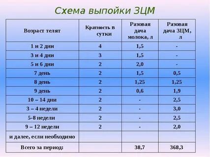 Сколько раз в день поить телят