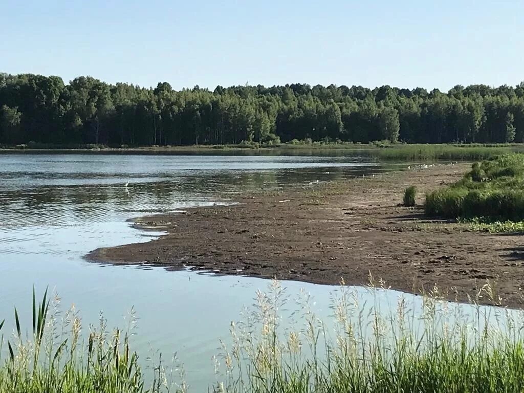 вода ясногорск