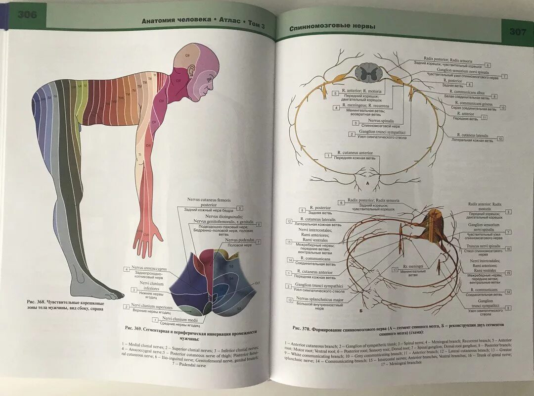 Анатомия книги атласы. Билич Крыжановский атлас анатомии иллюстрации. Билич Крыжановский анатомия человека атлас. Анатомия человека атлас в 3-х томах том 3 Билич Крыжановский. Анатомия человека v иллюстрированный атлас.