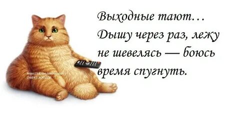 Куда делось воскресенье