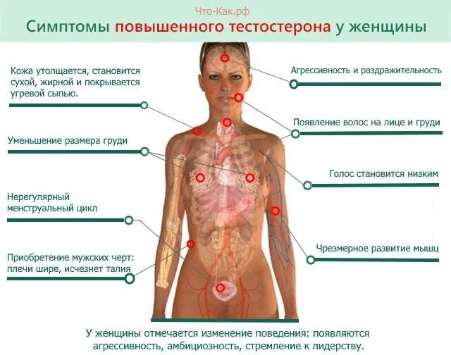 Лечение повышенного тестостерона. Мужские гормоны у женщин. тестостерон гормон что это такое у женщин. повышенный уровень тестостерона у женщин. повышен тестостерон у женщин симптомы.