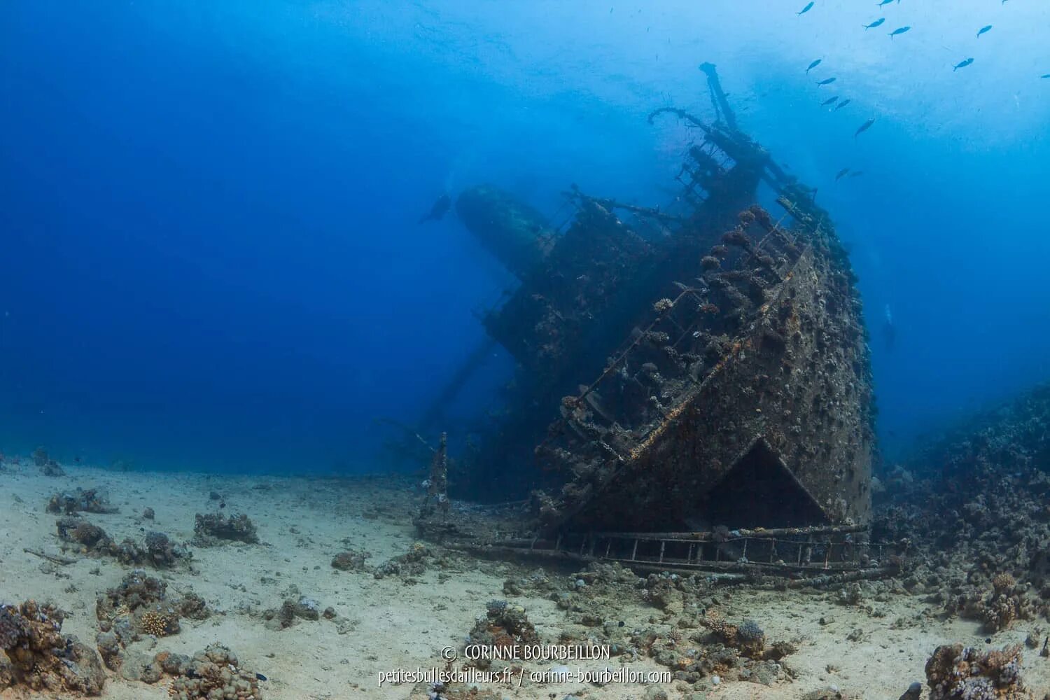 Сс море. Корабль SS Thistlegorm, красное море. SS Thistlegorm затонувшие корабли. SS Thistlegorm затонувший британский корабль. Корабль Giannis d, красное море.