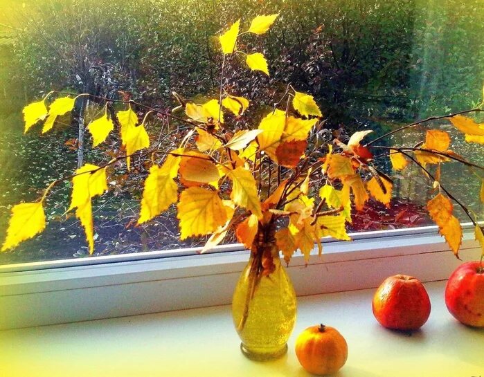 Осенний стучать. Осенний натюрморт на окне. Окно осень. Осенние листья на окна. Осень стучится в окно.