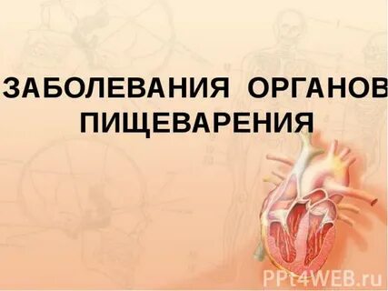 Наиболее частые заболевания органов пищеварения
