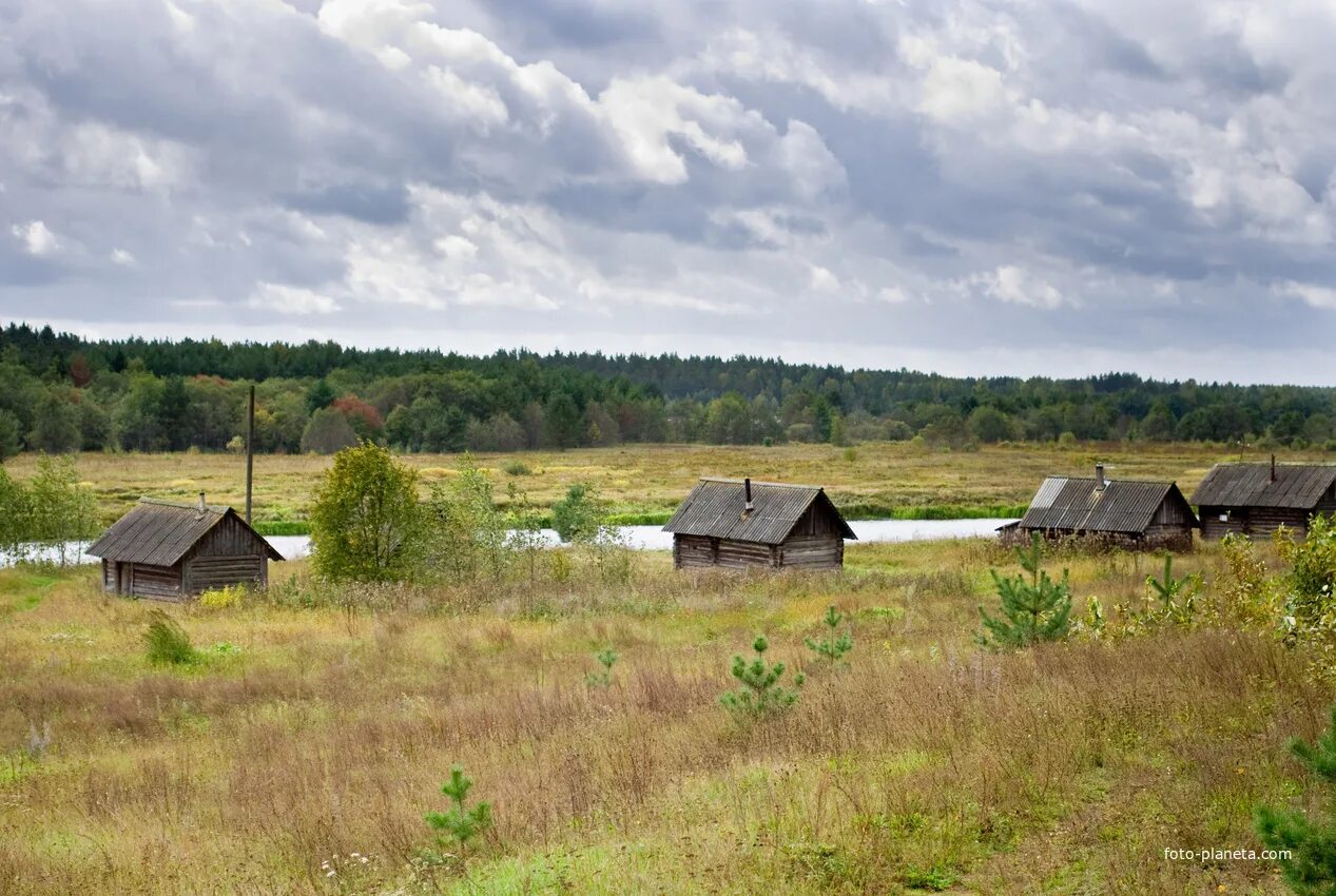 Село закричи. Тверская область Максатихинский район деревни. Максатиха деревня селище Тверская. Деревня Гарусово Тверская область Максатихинский район. Деревня Ривица Максатихинский район.