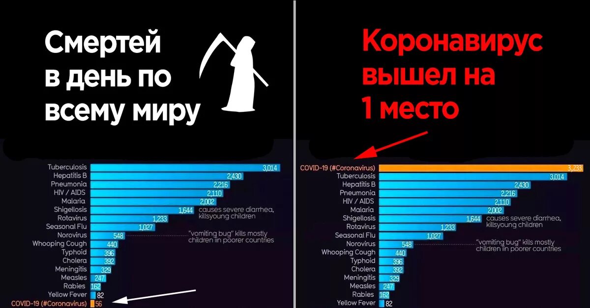 Сколько в день погибает людей в россии. Статистика людей. Сколько людей погибает в день. Статистика смертей в день. Crjkmjk.LTQ D vbht.