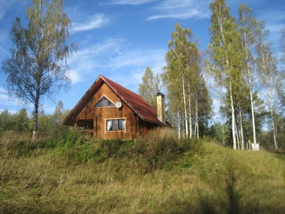 Купить дом в сосново ленинградской области. Деревня Лисино Волосовский район. Деревня Сосново Волосовский район. Деревня Сосново Ленинградская область. Волосовский район Ленинградской области дом.