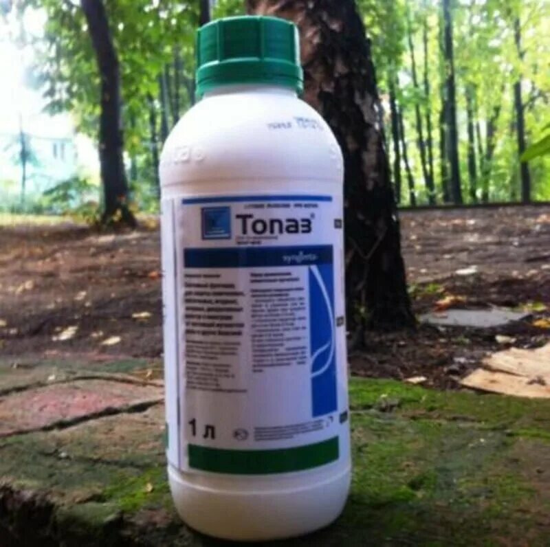 Топаз фунгицид агросад. Пенконазол фунгицид. Топаз syngenta 100 мл. Топаз фунгицид для винограда. Топаз 1 л.