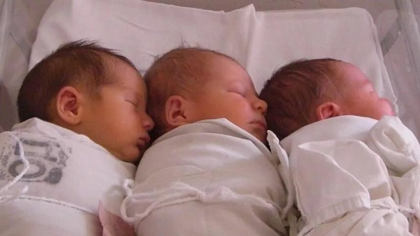 Сколько за жизнь женщина может родить детей. Дети двойняшки. Новорожденные тройняшки. Тройняшки младенцы. Тройняшки два мальчика и девочка.