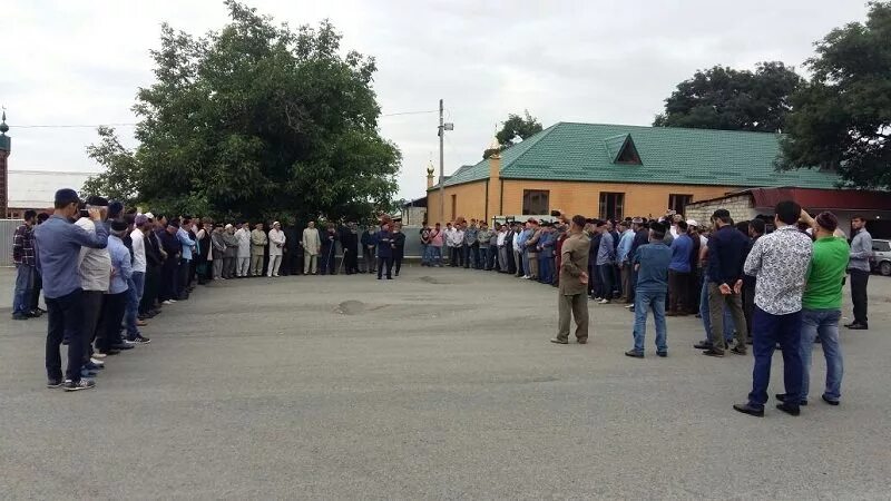 нестеровская республики ингушетия. нестеровская 3 школа ингушетия. погода нестеровская ингушетия. нестеровская школа республики ингушетия. погода нестеровская ингушетия.