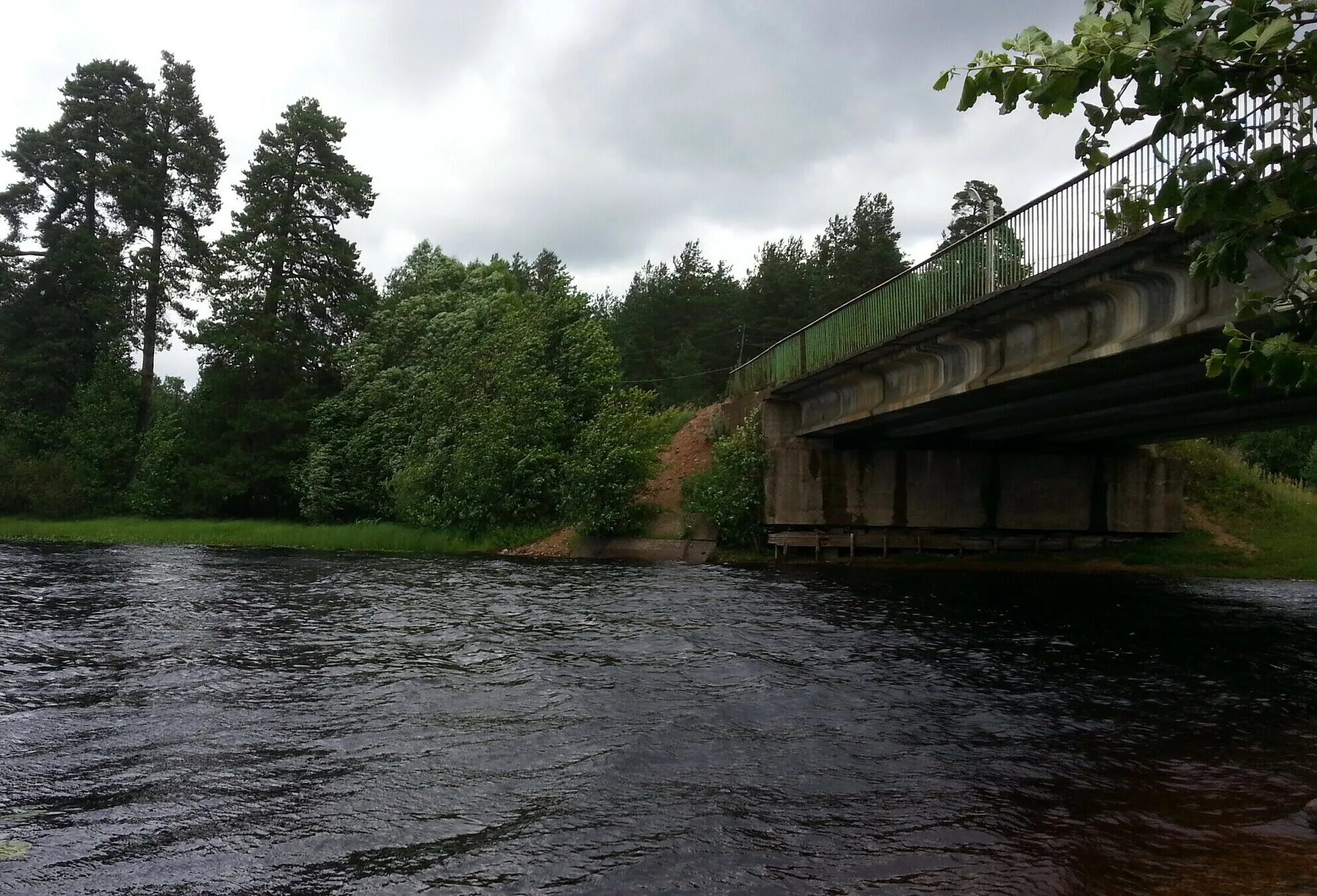виральные подписчики. виральный охват. охват аудитории вконтакте. залозье пеновского района тверской области. охват публикации.