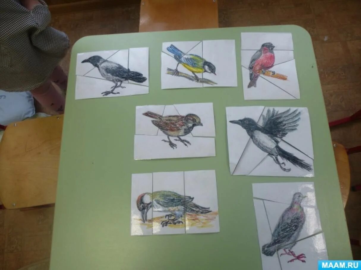 Игры птицы старшая группа. Занятие в детском саду на тему перелетные птицы. Перелетные птицы занятие в младшей группе. Птицы средняя группа. Перелетные птицы для малышей 2 младшая группа.