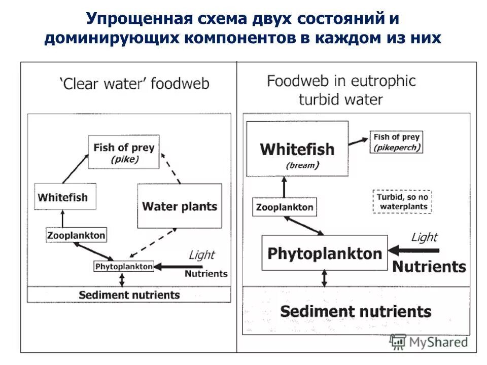 процесс управления. состояния процесса. простейшая модель процесса. модель процесса. контракт с моделью.