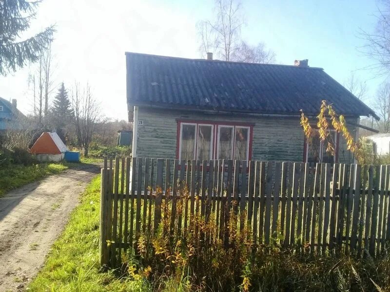 Авито сольцы. Авито сольцы. Авито сольцы. Деревня боровня солецкого района. Подгорная.