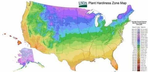 Plants map