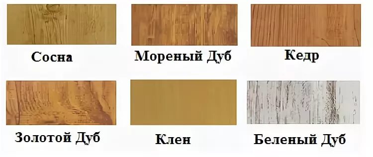 Кедр клен