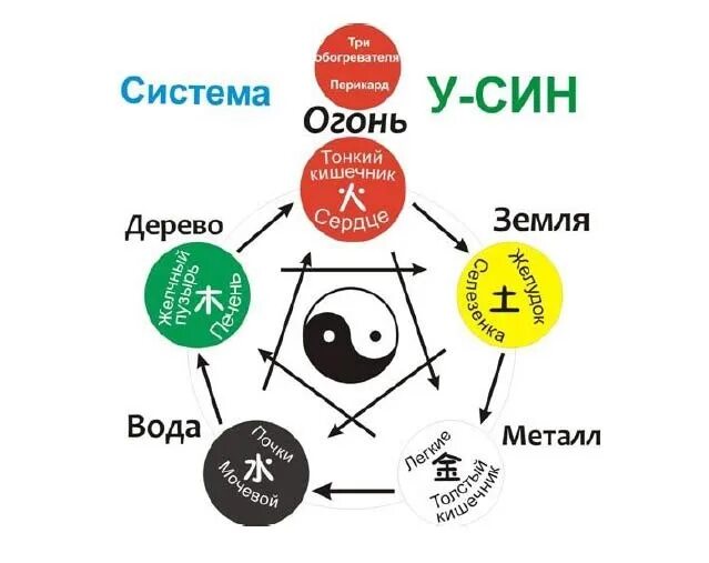 Теория усин 5 элементов. Теория у син пяти элементов. Звезда у син. Теория усин 5 стихий. Система 5 элементов у-син.