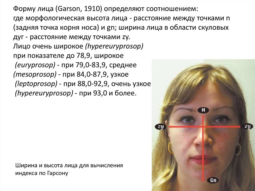 Измерение лица. Антропометрические точки лица. Ширина лица высота лица. Измерение формы лица.