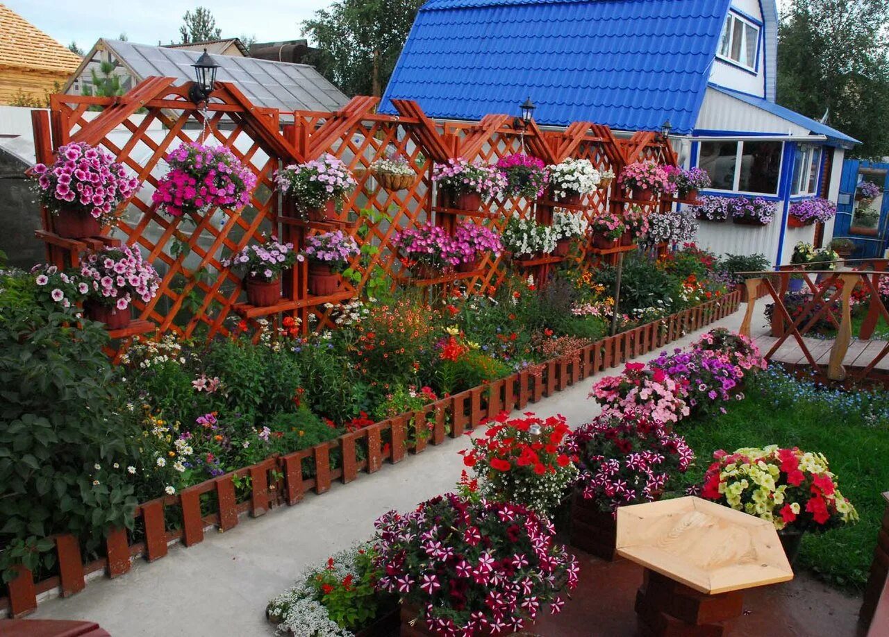 Миксбордер многолетники двулетники однолетники. Гвоздика многолетняя турецкая низкорослая. Палисадник в стиле кантри. Лобелия и хоста. Хоста цветы многолетники.