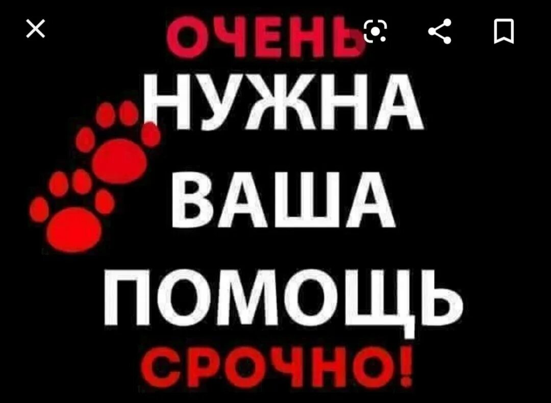 Нужна помощь. Срочно нужна помощь. Очень нужна помощь. Очень срочно нужна помощь. Срочная помощь на карту