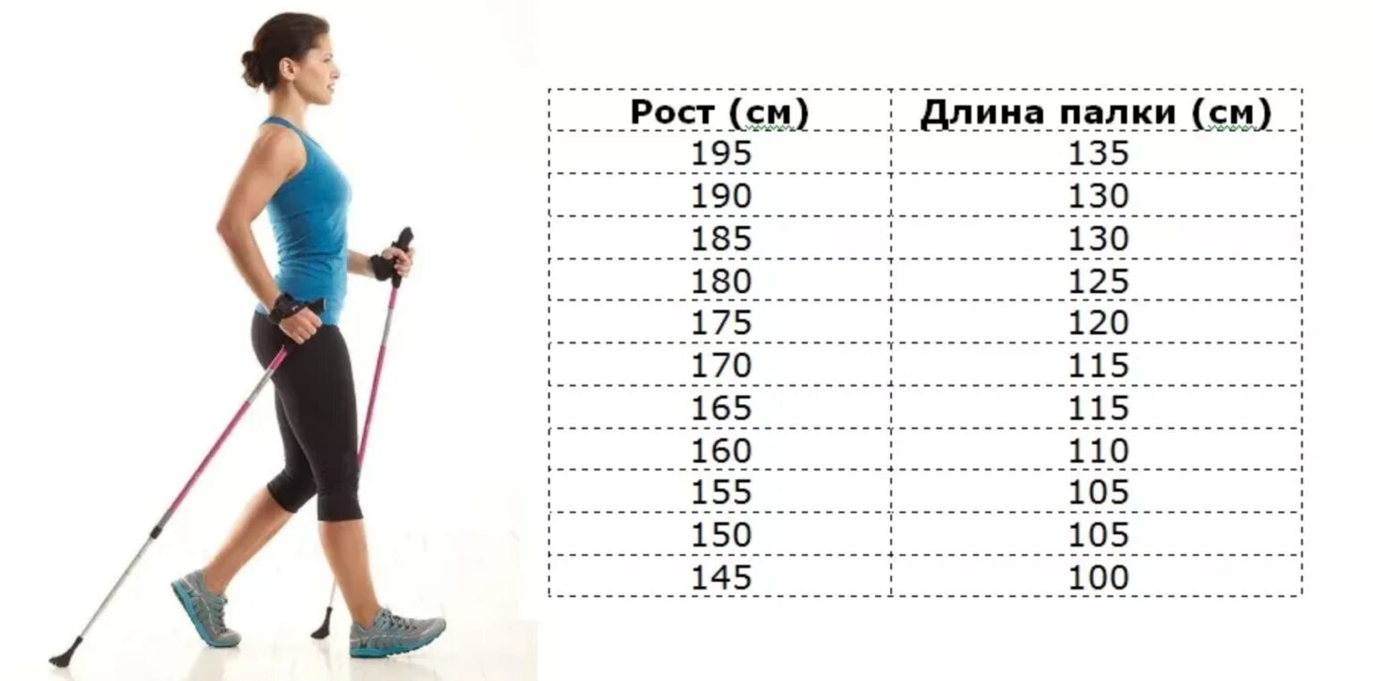 Какой длины палки для скандинавской ходьбы. Таблица для выбора палок для скандинавской ходьбы. Таблица высоты палок для скандинавской ходьбы. Палки для скандинавской ходьбы таблица размеров. Высота палок для скандинавской ходьбы по росту таблица.