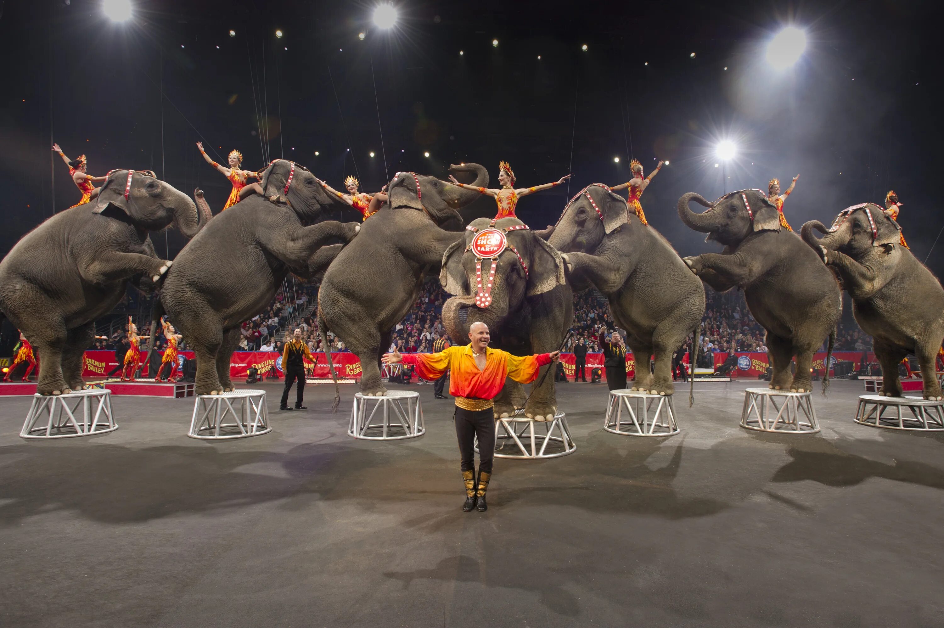 Ролики цифровой цирк. Цирк Barnum Bailey. Ringling brothers and Barnum & Bailey. Ringling Bros. And Barnum & Bailey Circus. Ringling brothers Circus.