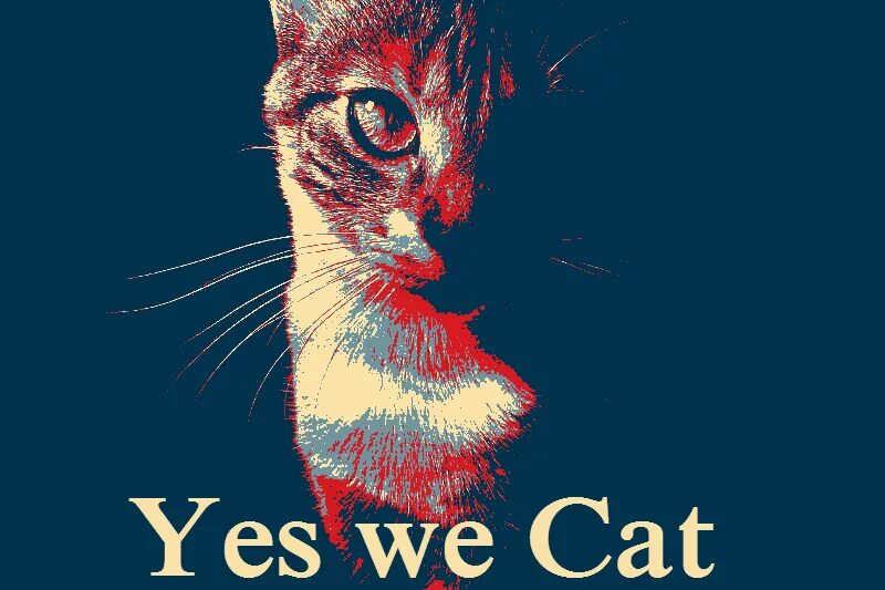 Yes we Cat. Плакат Yes we. Yes we Cat нашивка. Коврик для мыши Yes we Cat.