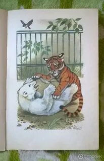 Чаплина медвежонок