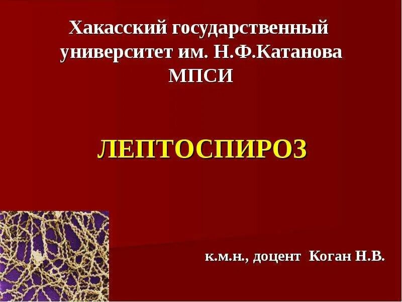 Вспышки лептоспироза в сельской местности связаны. Лептоспироз осложнения. Вспышки лептоспироза в сельской местности связаны. Источники заражения лептоспирозом. Вспышки лептоспироза в сельской местности связаны.