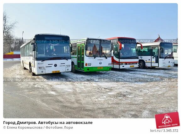 Автовокзал Дмитров. Автобус Дмитров. Вокзал Дмитров автобусы. Дмитров автовокзал фото. Расписание автобуса 25 дмитров княжево сегодня