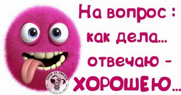 Как дела лучше всех. Дела отлично. как дела хорошо. у меня дела хорошо. открытки дела отлично.