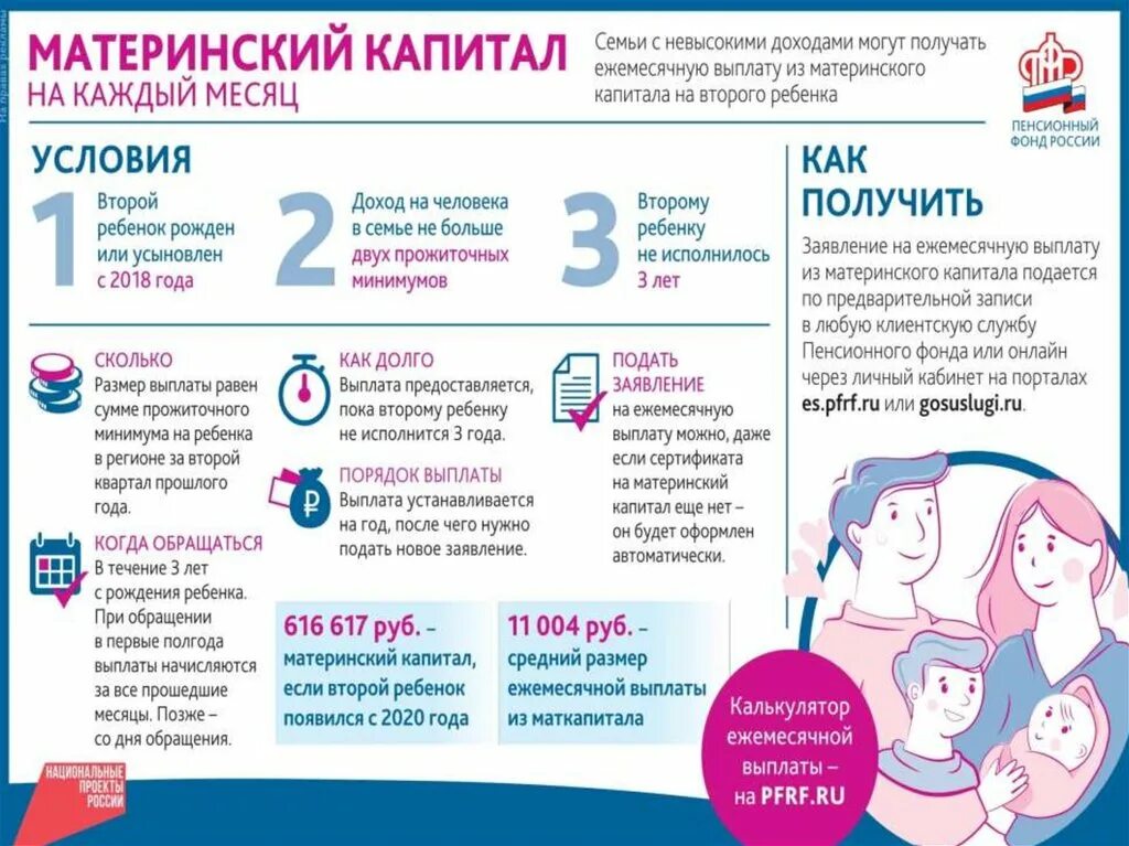 Сколько раз можно получить материнский. В каком году появился материнский капитал в России.
