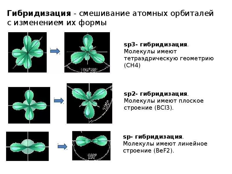 D гибридизация. Гибридизация атомных орбиталей SP sp2- sp3- гибридизация. Гибридизация атомных орбиталей SP, sp2 sp3. Формы орбиталей sp2. Гибридизация атомных орбиталей sp2.