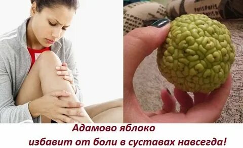 Адамово яблоко у мужчин