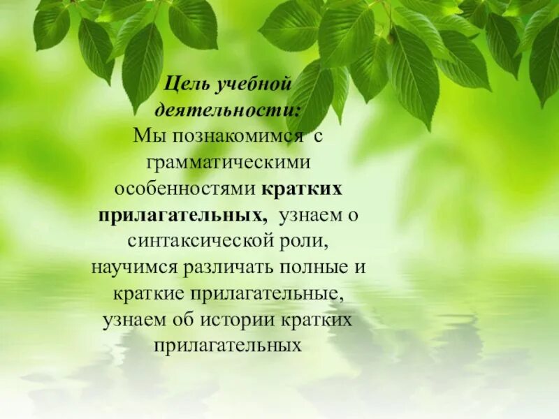 Чисты краткое