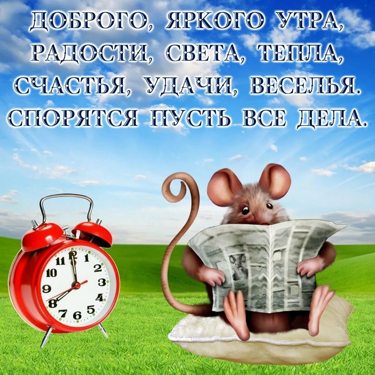 Утро поздравлялки. С добрым утром. Поздравление с добрым утром. Открытки с добрым утром. Пожелания с добрым утром прикольные.